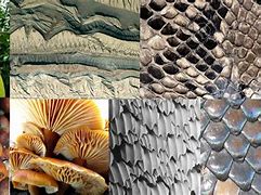Image result for Organic Texture