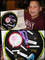 Image result for Animal Cell DIY Project