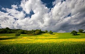 Image result for Blue Sky White Clouds Green Grass with Angel