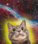 Image result for Space Galaxy Cat Eyes GIF