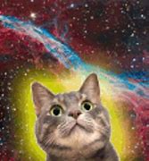 Image result for Space Cat Cartoon