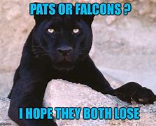 Image result for Black Panther Animal Memes