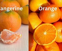 Image result for difference iphone 6 vs 6s