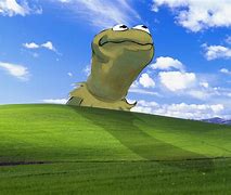 Image result for Kermit Pictures