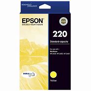 Image result for Epson Original Printer Ink Cartridges 220