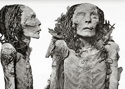 Image result for Nefertari Mummy