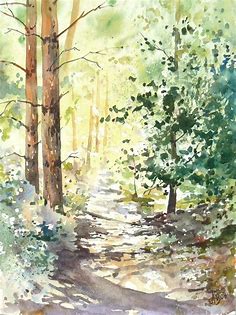 Forest and sun by mashami on DeviantArt | Watercolor landscape paintings, Watercolor art, Watercolor illustration