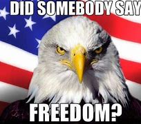 Image result for 4th of July Meme Eagle