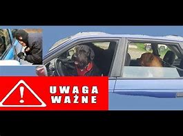 Image result for Gangsta Drive Dog Driving