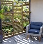 Image result for Small Modern House Garden Ideas