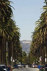 Image result for Los Angeles Beverly Hills