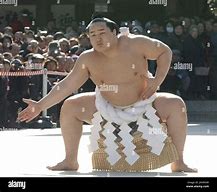 Image result for Mongolian Sumo Wrestler