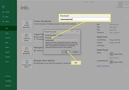 Image result for How to Add Password in Excel