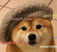 Image result for French Doge Meme