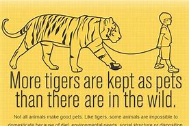 Image result for Cool Animal Quotes
