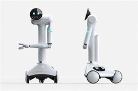 Image result for Domestic or Household Robots