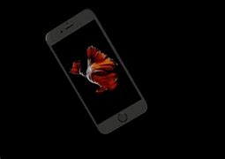 Image result for iPhone 5S Orange