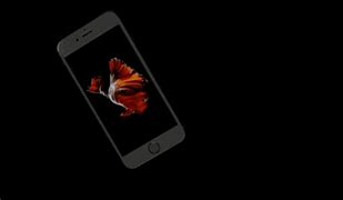 Image result for Bottom of a iPhone 6 Plus