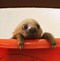 Image result for Sid the Sloth as a Chav