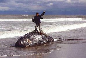 Image result for Beached Whale Person