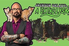 Image result for Jackson Galaxy Sober