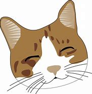 Image result for Cat Clip Art Transparent