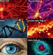 Image result for Universe Resembles Human Being