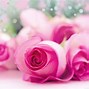 Image result for Cyan and Rose Pink
