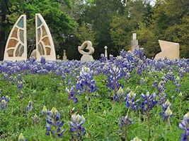 Image result for Dripping Springs Sculpture Garden