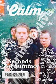 Image result for 5 Seconds of Summer Calm