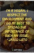 Image result for Vegan Food Quotes