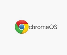Image result for Google Chrome OS Logo