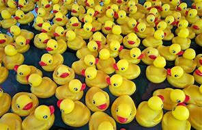 Image result for Rubber Duckie Pirate Baseball