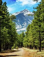 Image result for Flagstaff Arizona Mountains