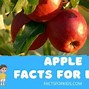 Image result for Apple Tree for Kids