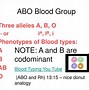 Image result for Blood Type Test Card