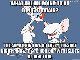 Image result for Pinky and the Brain Meme Tuesday