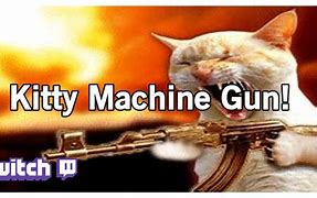 Image result for Cat Machine Gun Meme
