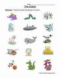 Image result for Sea Animals Worksheet