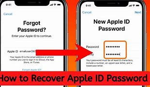 Image result for How to Recover Apple ID Password