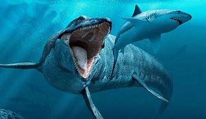 Image result for Biggest Sea Animal Ever Existed