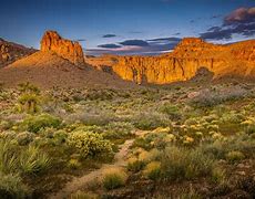 Image result for Mojave Desert Land
