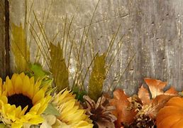 Image result for Fall Autumn Harvest
