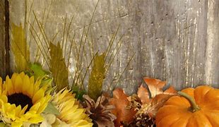 Image result for Autumn Harvest Backgrounds