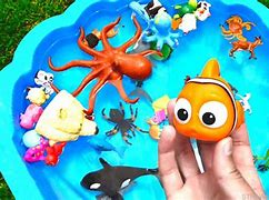 Image result for Sea Animal Toys Strawberry Jam Toys
