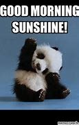 Image result for Cute Good Morning Sunshine Meme