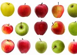 Image result for 2 Apple Fruit