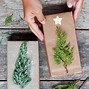 Image result for wrapping paper packs design