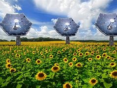 Image result for Sharp Solar Panel Sunflowers