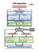 Image result for Recover Guidelines CPR